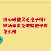 匠心破壁灵芝孢子粉？赋汤亭灵芝破壁孢子粉怎么样