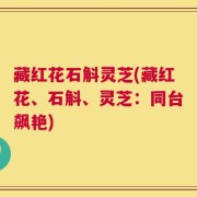 藏红花石斛灵芝(藏红花、石斛、灵芝：同台飙艳)