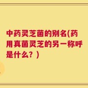 中药灵芝菌的别名(药用真菌灵芝的另一称呼是什么？)