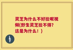 灵芝为什么不好捡呢视频(野生灵芝捡不得？这是为什么！)