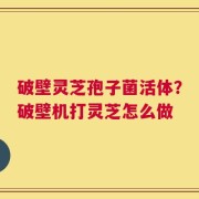 破壁灵芝孢子菌活体？破壁机打灵芝怎么做