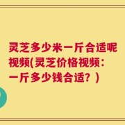 灵芝多少米一斤合适呢视频(灵芝价格视频：一斤多少钱合适？)