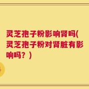 灵芝孢子粉影响肾吗(灵芝孢子粉对肾脏有影响吗？)