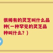 很稀有的灵芝叫什么品种(一种罕见的灵芝品种叫什么？)