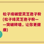 松子缘破壁灵芝孢子粉(松子缘灵芝孢子粉——突破砖墙，让你更健康)