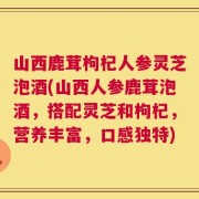 山西鹿茸枸杞人参灵芝泡酒(山西人参鹿茸泡酒，搭配灵芝和枸杞，营养丰富，口感独特)