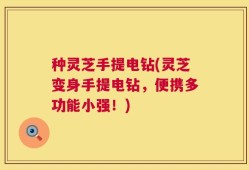 种灵芝手提电钻(灵芝变身手提电钻，便携多功能小强！)