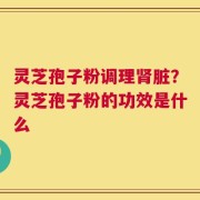 灵芝孢子粉调理肾脏？灵芝孢子粉的功效是什么