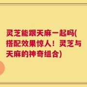 灵芝能跟天麻一起吗(搭配效果惊人！灵芝与天麻的神奇组合)