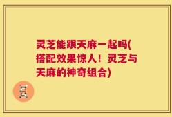 灵芝能跟天麻一起吗(搭配效果惊人！灵芝与天麻的神奇组合)