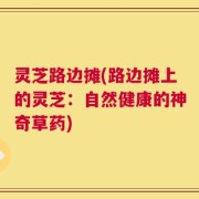灵芝路边摊(路边摊上的灵芝：自然健康的神奇草药)