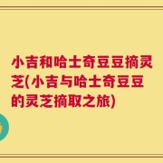 小吉和哈士奇豆豆摘灵芝(小吉与哈士奇豆豆的灵芝摘取之旅)