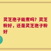 灵芝孢子能煮吗？灵芝粉好，还是灵芝孢子粉好