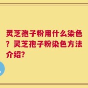 灵芝孢子粉用什么染色？灵芝孢子粉染色方法介绍？