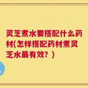 灵芝煮水要搭配什么药材(怎样搭配药材煮灵芝水最有效？)