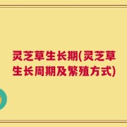 灵芝草生长期(灵芝草生长周期及繁殖方式)