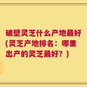 破壁灵芝什么产地最好(灵芝产地排名：哪里出产的灵芝最好？)