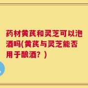 药材黄芪和灵芝可以泡酒吗(黄芪与灵芝能否用于酿酒？)
