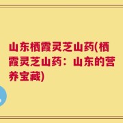 山东栖霞灵芝山药(栖霞灵芝山药：山东的营养宝藏)