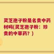 灵芝孢子粉是名贵中药材吗(灵芝孢子粉：珍贵的中草药？)