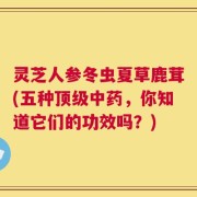 灵芝人参冬虫夏草鹿茸(五种顶级中药，你知道它们的功效吗？)
