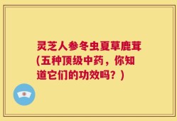 灵芝人参冬虫夏草鹿茸(五种顶级中药，你知道它们的功效吗？)