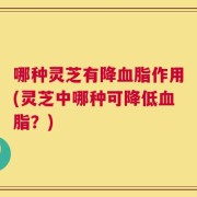 哪种灵芝有降血脂作用(灵芝中哪种可降低血脂？)