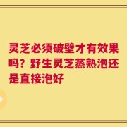 灵芝必须破壁才有效果吗？野生灵芝蒸熟泡还是直接泡好