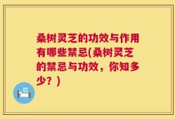 桑树灵芝的功效与作用有哪些禁忌(桑树灵芝的禁忌与功效，你知多少？)