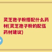 灵芝孢子粉搭配什么药材(灵芝孢子粉的配伍药材建议)