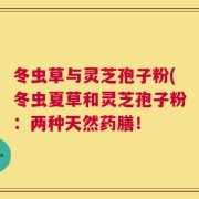 冬虫草与灵芝孢子粉(冬虫夏草和灵芝孢子粉：两种天然药膳！