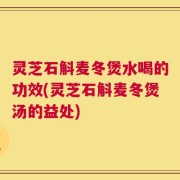 灵芝石斛麦冬煲水喝的功效(灵芝石斛麦冬煲汤的益处)