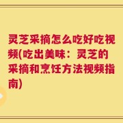 灵芝采摘怎么吃好吃视频(吃出美味：灵芝的采摘和烹饪方法视频指南)