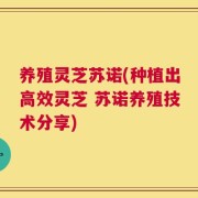 养殖灵芝苏诺(种植出高效灵芝 苏诺养殖技术分享)
