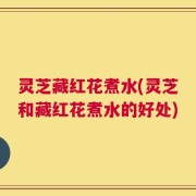 灵芝藏红花煮水(灵芝和藏红花煮水的好处)