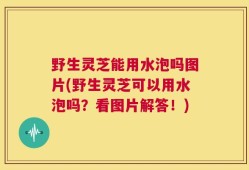 野生灵芝能用水泡吗图片(野生灵芝可以用水泡吗？看图片解答！)