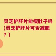灵芝护肝片能瘦肚子吗(灵芝护肝片可否减肥？)
