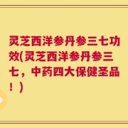 灵芝西洋参丹参三七功效(灵芝西洋参丹参三七，中药四大保健圣品！)