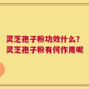 灵芝孢子粉功效什么？灵芝孢子粉有何作用呢