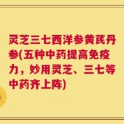 灵芝三七西洋参黄芪丹参(五种中药提高免疫力，妙用灵芝、三七等中药齐上阵)