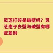 灵芝打碎是破壁吗？灵芝孢子去壁与破壁有哪些差别