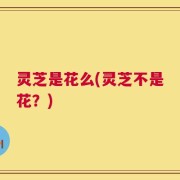 灵芝是花么(灵芝不是花？)