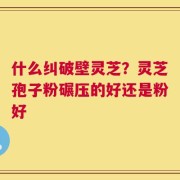 什么纠破壁灵芝？灵芝孢子粉碾压的好还是粉好