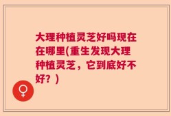大理种植灵芝好吗现在在哪里(重生发现大理种植灵芝，它到底好不好？)