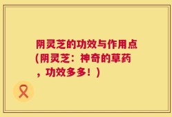 阴灵芝的功效与作用点(阴灵芝：神奇的草药，功效多多！)