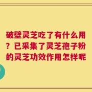 破壁灵芝吃了有什么用？已采集了灵芝孢子粉的灵芝功效作用怎样呢