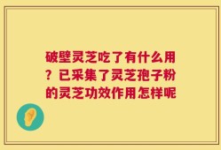 破壁灵芝吃了有什么用？已采集了灵芝孢子粉的灵芝功效作用怎样呢