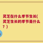灵芝在什么季节生长(灵芝生长的季节是什么？)