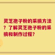 灵芝孢子粉的采摘方法？了解灵芝孢子粉的采摘和制作过程？