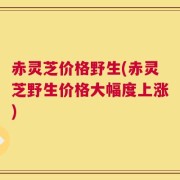 赤灵芝价格野生(赤灵芝野生价格大幅度上涨)